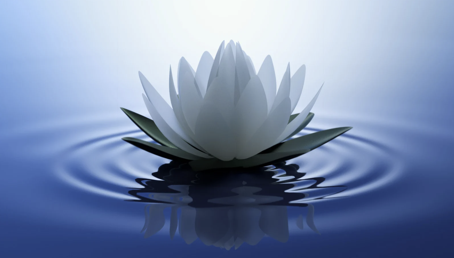 White lotus flower floating in dark water, symbolizing the unshaming of taboo desires like feminization fetishes and the complexity of sexual shame in relationships